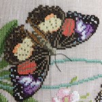 X-stitch butterfly