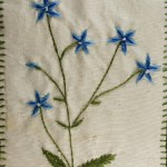 Wahlenbergia stitched postcard