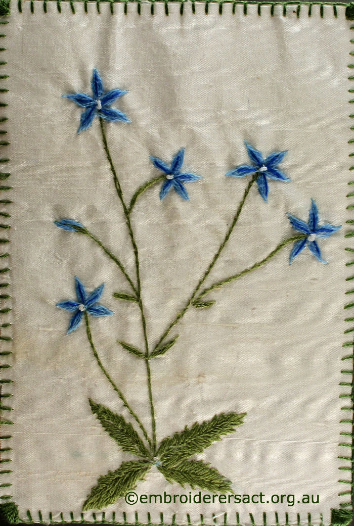 Wahlenbergia stitched postcard