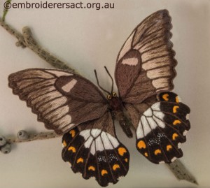 Detail of Stumpwork Butterfly by Lorna Loveland