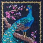 Detail of Peacock Cross Stitch