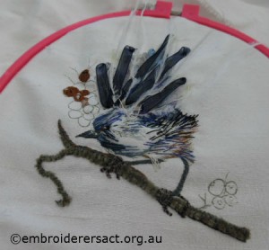 Blue wren 1 by Susan Douds