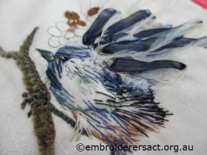 Blue wren 2 by Susan Douds
