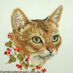 Abyssinian Cat x-stitched by Barbara Adams