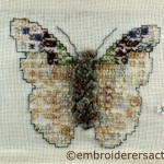 Bogong Moth stitched postcard by Margaret Kelemen