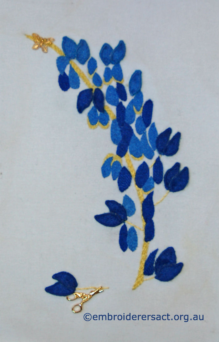 Lupins by Margaret Thompson