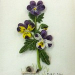 Stumpwork of Viola Tricolor