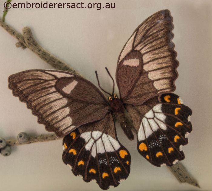 Detail of Stumpwork Butterfly